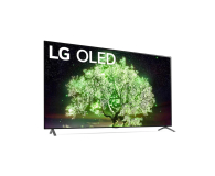 LG OLED55A13LA - 635945 - zdjęcie 2